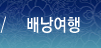배낭여행