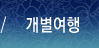 개별여행