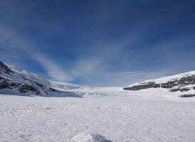 선압타 고개에서 4km정도 자스퍼를 향해 가다보면 오른쪽으로 붉은 지붕의 샬레가 보인다, 

이곳이 바로 아이스필드 센타(Icefield Center)이다, 빙하 관광을 하려면, 설상차(Snowcoach)를 타야한다, 약 1시간 15분정도 소요되는 설상차를 이용하면 아사바스카 빙하를 구경할수 있으며 빙하 위를 직접 걸어 다닐수도 있다 , 325평방 킬로의 만년설과 만년빙으로 뒤덮인 대빙원으로 알래스카 이남에서 가장 크다, 계속 진행되고 있는 지구의 온실화 현상으로 인해 매년 7-8m식 녹아들어 가고 있어서 계산상으로 400-500년후에는 이 대평원이 없어진다고 한다, 이곳에서는 빙하 3492m높이의 아사바스카 산의 복쪽 경사면을 따라 밀려내리는 모습을 볼수 있다 

우리나라가 한여름인 때에도 이곳은 눈이 내리므로 스웨터나 점퍼를 준비해야 하며 일년 내내 빙하에 반사되는 빛이 너무 강하므로 선글라스는 필수 이다