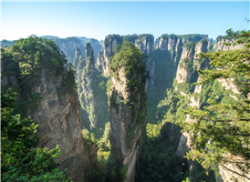장가계 국가삼림공원 내에 위치해 있는 장가계의 절경 중의 하나로 천하제일교(天下第一僑)와 미혼대 등의 비경으로 유명한 명소이다.  특히 백룡엘리베이터로 유명한 곳이기도 하다.
