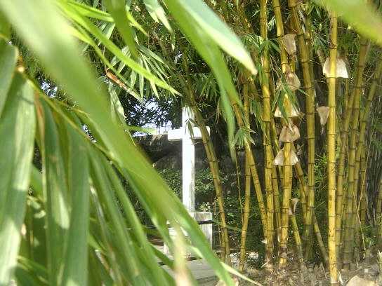 수상산티아고 요새 맥아더 장군 십자가[1]