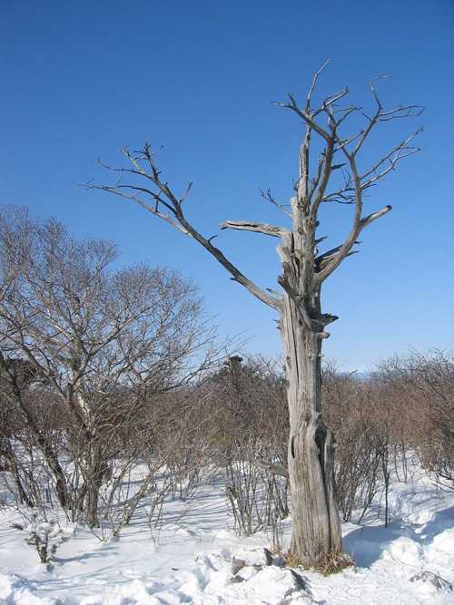 태백산 이미지