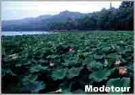 1. [출발일:2012-04-20] 항주/황산/삼청산 4일