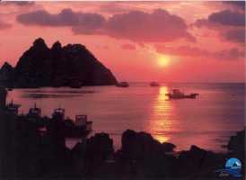 홍도
