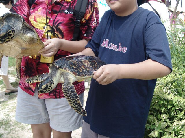 http://img.modetour.co.kr/eagle/photoimg/22828/Bfile/14.jpg