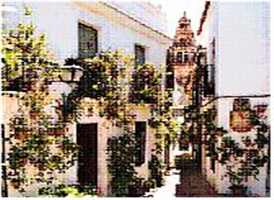 메스키따 북서쪽에 있는 코르도바의 중세 유대인 지구 후데리아(Juderia)는 좁고 꼬불꼬불한 골목, 온통 흰색의 집들과 창문의 가지각색의 예쁜 꽃과 화분들을 볼 수 있다. 이 곳에는 스페인의 유일하게 두개 남아있는 유대인 교회 중 하나가 있는데, Sinagoga 라는 아담하지만 아름다운 교회이고, 14세기에 만들어 졌다.