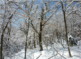 한라산