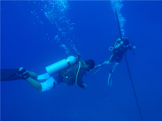 잠수경험이 없는 분들도 전문강사의 지도 후에 에메랄드 바다아래 수중세계를 즐길수 있는 관광.