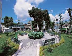 Coloane Market