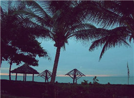 http://img.modetour.co.kr/eagle/photoimg/28668/sfile/BEACH.JPG