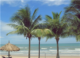 http://img.modetour.co.kr/eagle/photoimg/28668/sfile/BEACH2.JPG