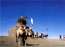 시라무런 초원(希拉穆仁草原) : 후허하오터에서 북쪽으로 80~90km 지점에 있는 시라무런은 내몽고를 대표하는 초원중의 하나로서 외국인 여행자가 가장 많이 찾는 곳이다. 현재 일백여개의 몽고포가 있으며 그중 현대화된 사성급 수준의 몽고포가 30채 정도 이다. 
시라무런은 몽골어로 '누런 강'라는 의미를 가지고 있다. 그러나 이름과는 달리 푸른 초원이 끝도 없이 펼쳐진 장관을 연출한다.