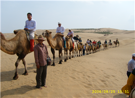사막에서 즐기는 낙타체험입니다.