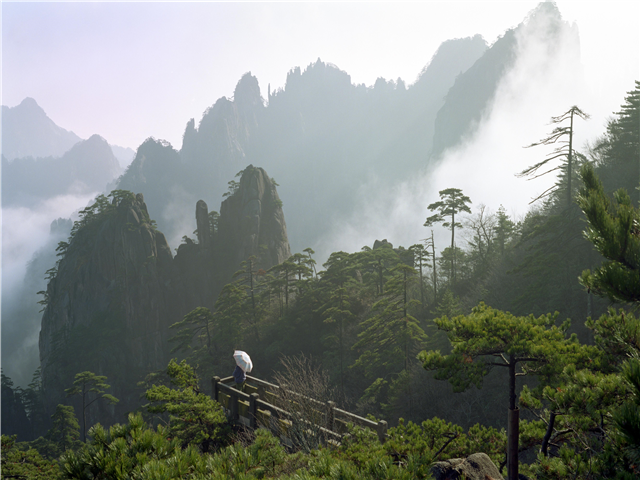 사진:[대구출발] 황산 4일/5일