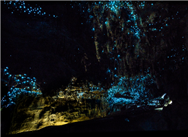 와이토모 반딧불 동굴