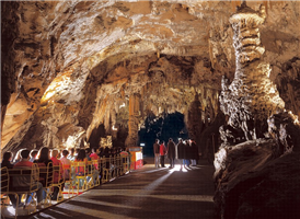 포스토이나 동굴은 슬로베니아의 포스토이나 근처에 자리한 가장 긴 카르스트 동굴계로 길이는 20,570m이며 관광 명소이다. 일반인에게 공개된 구간은 전체 동굴 가운데 5.3㎞로 일반인의 관람코스로는 세계에서 가장 길다. 

또한 세계에서 가장 큰 혈거도롱뇽인 이 고장 특유의 올름(동굴도롱뇽붙이)이 서식하는 곳이다. 동굴을 통과하는 관광노선에 올름이 서식하는 웅덩이가 포함되어 있기 때문에, 전 세계에서 유일하게 이곳에서만 올름을 직접 볼 수 있다.



