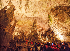 포스토이나 동굴은 슬로베니아의 포스토이나 근처에 자리한 가장 긴 카르스트 동굴계로 길이는 20,570m이며 관광 명소이다. 일반인에게 공개된 구간은 전체 동굴 가운데 5.3㎞로 일반인의 관람코스로는 세계에서 가장 길다. 

또한 세계에서 가장 큰 혈거도롱뇽인 이 고장 특유의 올름(동굴도롱뇽붙이)이 서식하는 곳이다. 동굴을 통과하는 관광노선에 올름이 서식하는 웅덩이가 포함되어 있기 때문에, 전 세계에서 유일하게 이곳에서만 올름을 직접 볼 수 있다.



