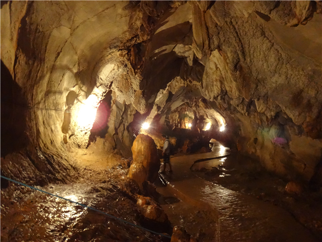 ■ 옵션가: 성인/아동 동일 $20 ■ 방비엥의 가장 큰 석회암 동굴의 내부를 둘러보고 동굴의 입구에 위치한 전망대에서 방비엥의 전경을 둘러볼 수 있는 투어