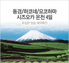 동경/하코네/시즈오카 온천4일