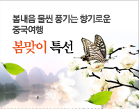 봄맞이 특선