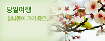 당일여행
