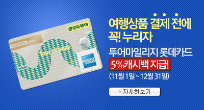 투어마일리지