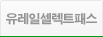 유레일 셀렉트 패스