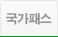 국가패스