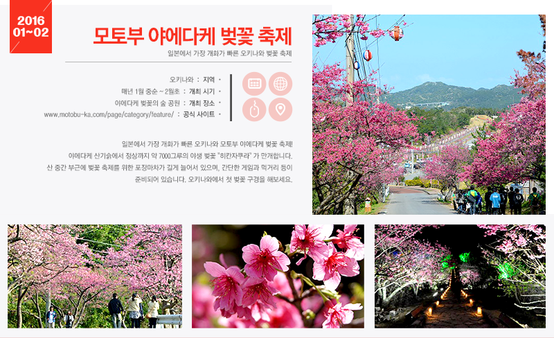 모토부 야에다케 벚꽃 축제