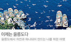 이제는 울릉도다